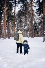 Fototapeta na wymiar Father and little son holding hands walking in winter pine forest. Man with backpack and toddler boy in blue overalls walking in snowy nature park. Christmas holiday outdoors. People from behind.