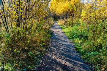 Obraz premium A path in the autumn park, one of - 14