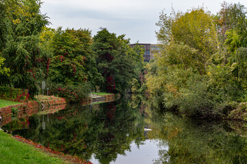 Idyllic autumn scenery next to the Spree River in Berlin, Germany