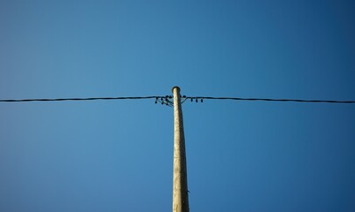 A wooden power pole against a clear blue sky.