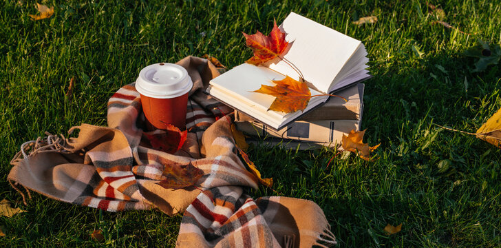 Autumn composition on green grass in park. Warm brown scarf. Orange cardboard cup of coffee. Maple leaves. Opened notebok with blank pages.