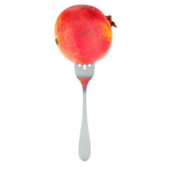Pomegranate on fork, 3D rendering