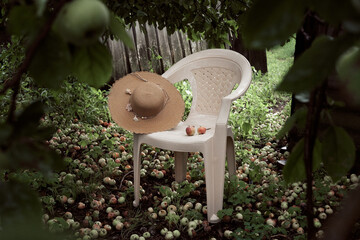 A hat on the garden chair in garden
