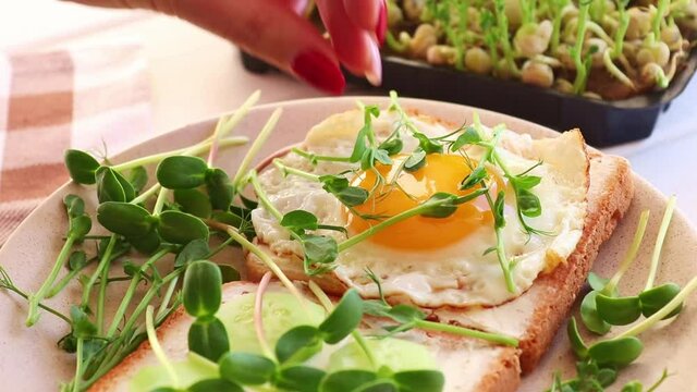 Making toast with microgreen. Female hands add microgreen to the toast with egg. Healthy food. Close-up, selective focus