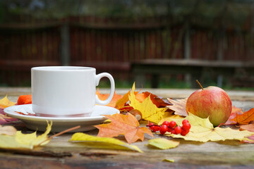 a cup of coffee tea in autumn on the table with yellow and orange leaves