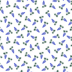 Seamless bluebonnet flowers