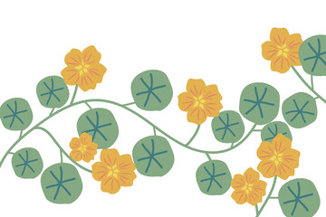 Nasturtium floral background