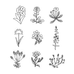 Vector plants set
