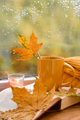Naklejka na ściany i meble cup of tea, book, autumn leaves and candle on window sill at home