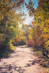 Edmonton River Valley Pathway North Saskatchewan River