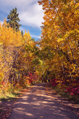 Edmonton River Valley Pathway North Saskatchewan River