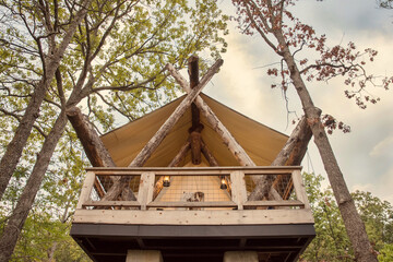 tent in the woods  © Brandi Nellis