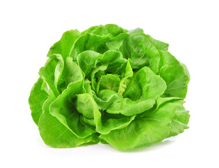 Green butterhead lettuce isolated on white background. - obrazy, fototapety, plakaty