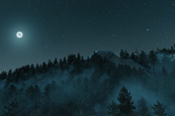 3d rendering of foggy mountain surrounded by pine trees in the starry night illuminated with moonlight