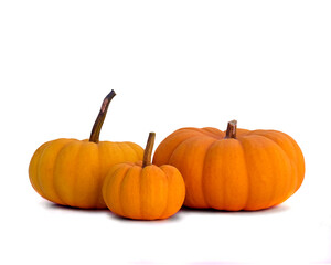 A Group of Three Small Pumpkins on a White Background