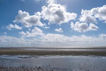 Nordsee, Ebbe, Nordseeinsel Föhr