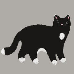 Hand-drawn pastel illustration with cute cats in different poses and colors - standing, jumping, lying, sleeping, playing For prints, stickers, wrapping paper, postcards, backgrounds, fabrics.
