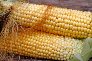 corn on the cob