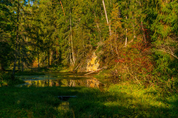 Landscape. Gauja, National Park, Latvia