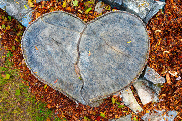 Tree stump in the shape of a broken heart.