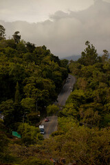 Carretera larga con arboles 