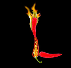 The letter L made of hot pepper and fire