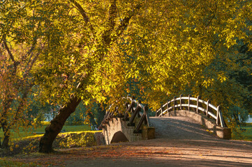 Fototapeta na wymiar Vintage beautiful stone bridge and big tree with yellow autumn leaves in city park