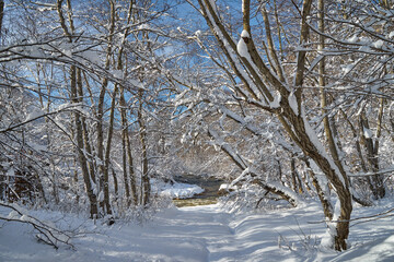 Image of a winter footpath.