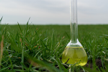 Image of a glass flask with a chemical solution on the background of young shoots of wheat.