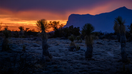 El Capitan in the distance