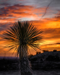 Sunset near Carlsbad