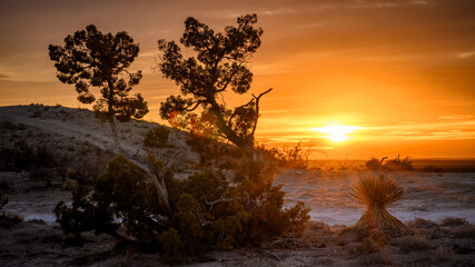 Sunrise in the desert