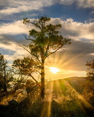 Gila Mountain sunset