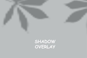 Fototapeta na wymiar Shadow overlay background. leaf shadow overlay backdrop graphic vector design