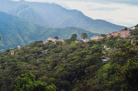 High view of Coroico town over the hill. Yungas region of Bolivia, Southamerica. Houses in valley landscape