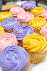 colorful cupcakes
