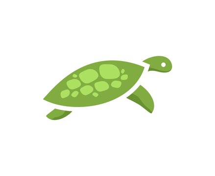 Turtle logo

