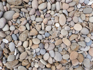 Variegated Smooth Coastal Beach Rocks And Pebbles