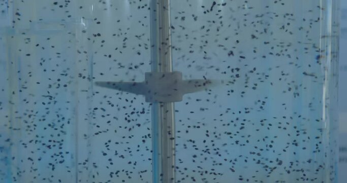 screw rotates in transparent water mixing fine particles.close-up.