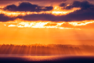 Obraz premium Smoky Rays of Sunset Light Through Fir Trees on Kitsap Peninsula