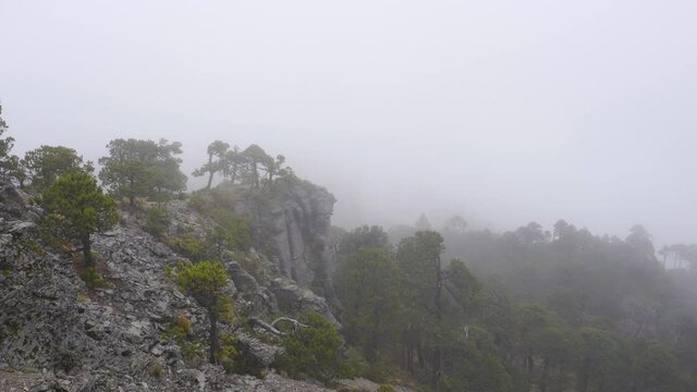 Cofre De Perote In A Foggy Day