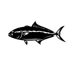 Mascot illustration of a greater amberjack, Seriola dumerili, medregal, coronado, allied kingfish, great amberfish, greater yellowtail, jenny lind, purplish amberjack in  retro black and white style.