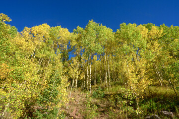 Gorgeous Maroon Bells at Aspen Colorado USA in Fall