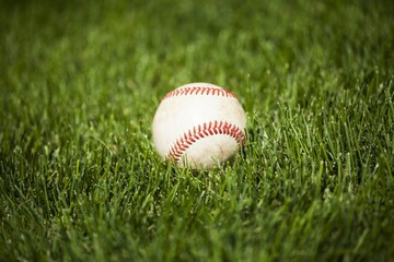 Baseball in the grass