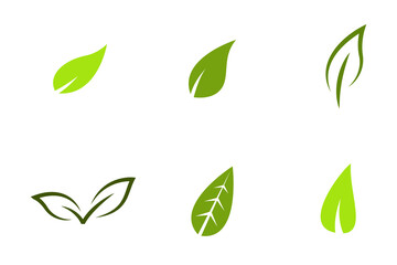 Conjunto de icono de hoja de árbol verde o planta curva. Concepto de naturaleza y verano. Ilustración vectorial
