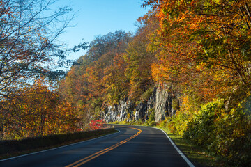 Fototapeta premium Fall Road Trip 