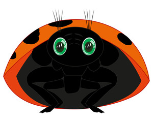 Vector illustration of the cartoon insect ladybug