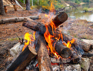 bonfire made of pine sticks and branches is burning with bright orange warm warming flame with shining sparks, in open forest in nature for camping.