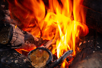 bonfire made of pine sticks and branches is burning with bright orange warm warming flame with shining sparks, in open forest in nature for camping.
