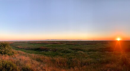 sunset over the field